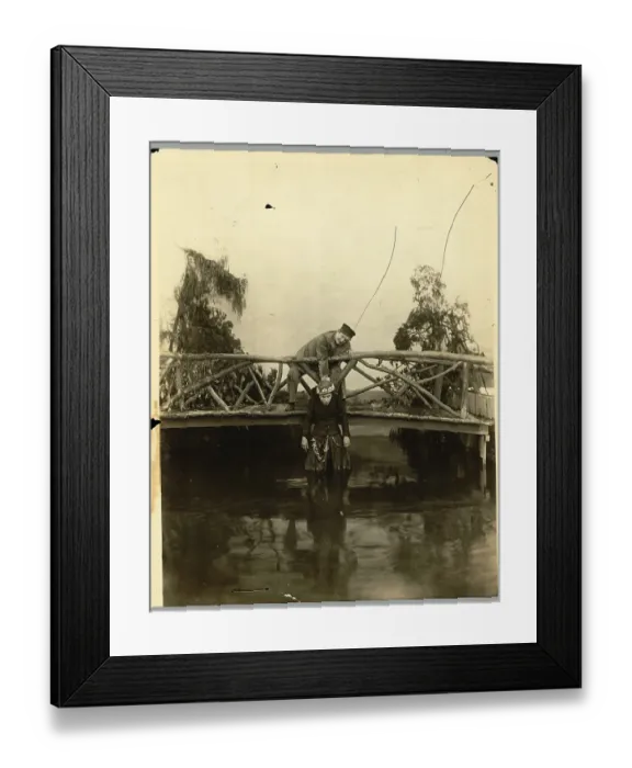Framed Print : Scene From The Feathered Nest Framed Print : Scene From The Feathered Nest