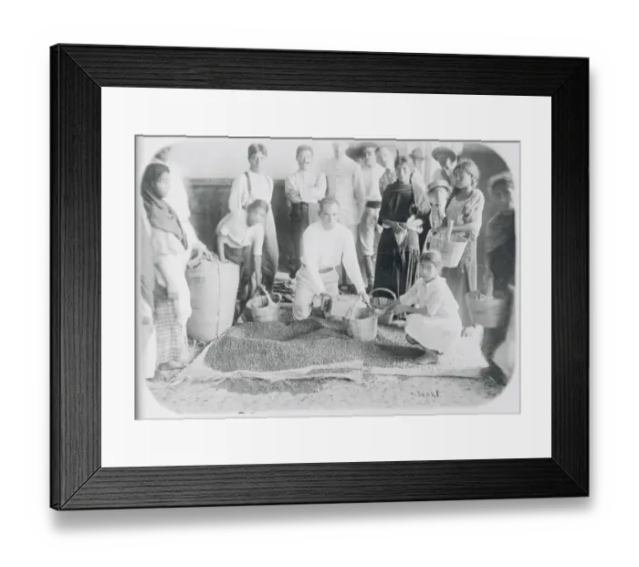 Framed Print : Mexicans Distributing Beans Framed Print : Mexicans Distributing Beans