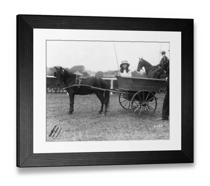 Framed Print : Girl Standing In Cart Attached To Horse Framed Print : Girl Standing In Cart Attached To Horse