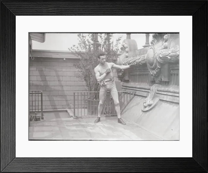 Framed Print : Boxer in Boxing Pose Framed Print : Boxer in Boxing Pose