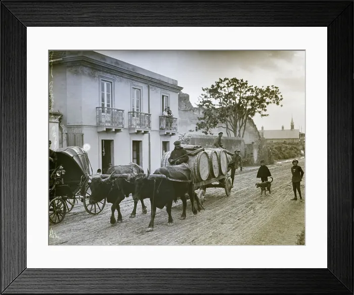 Framed Print : Oxcart Loaded With Casts Of Wine Framed Print : Oxcart Loaded With Casts Of Wine