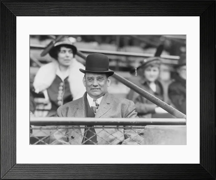 Framed Print : Baseball Captain in Stands Framed Print : Baseball Captain in Stands