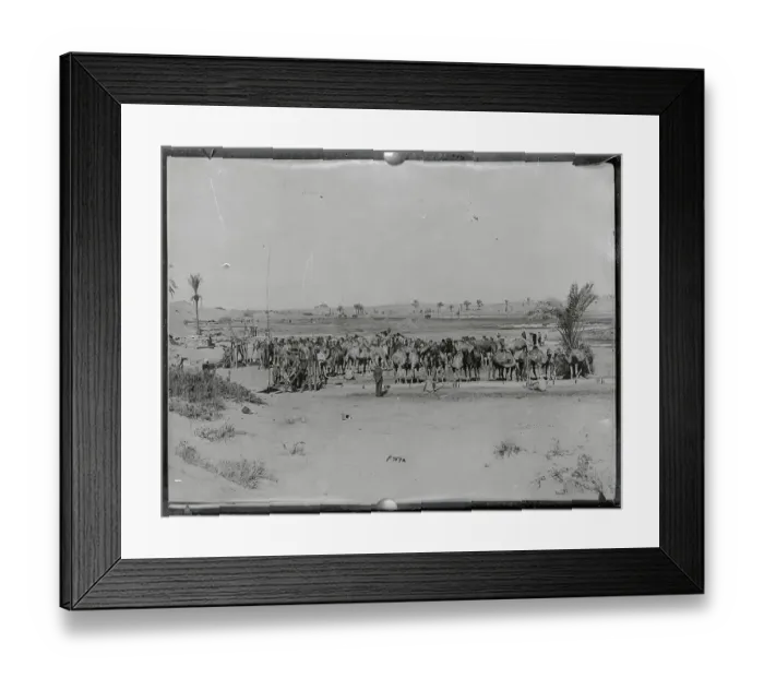 Framed Print : Group of Kurdish Troops Framed Print : Group of Kurdish Troops
