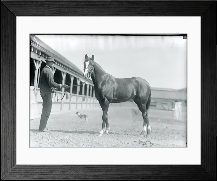 Framed Print : Stable Worker Posing With Racehorse Framed Print : Stable Worker Posing With Racehorse