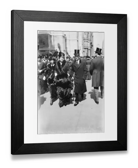 Framed Print : Vanderbilt Family Promenading on Fifth Avenue Framed Print : Vanderbilt Family Promenading on Fifth Avenue