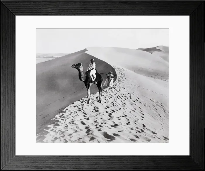Framed Print : Man Riding a Camel in the Desert Framed Print : Man Riding a Camel in the Desert