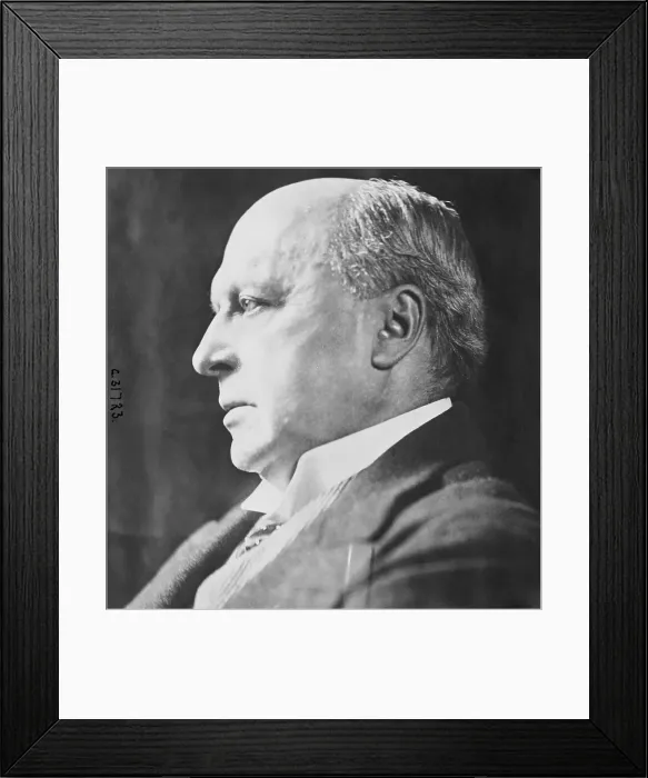 Framed Print : Novelist Henry James Framed Print : Novelist Henry James