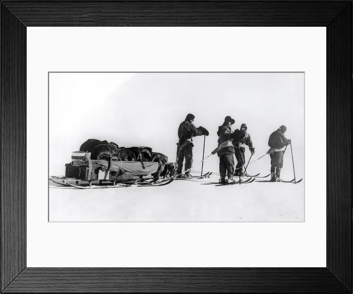 Framed Print : Robert Scott And Co. Draggin Load In Sno Framed Print : Robert Scott And Co. Draggin Load In Sno