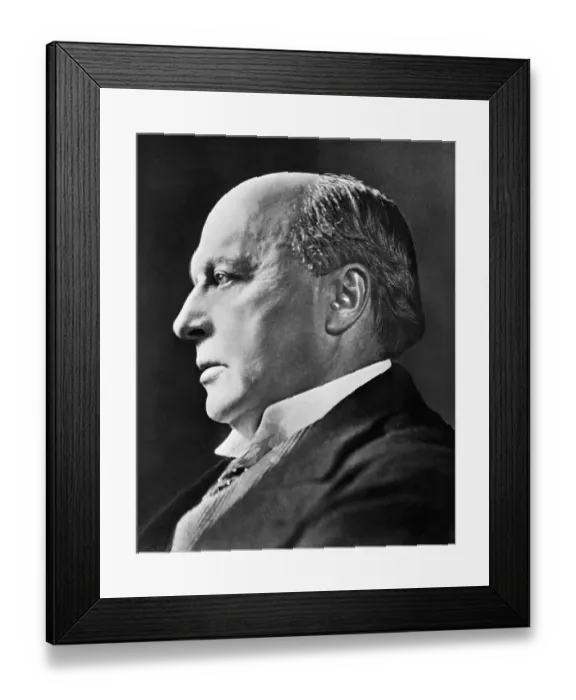 Framed Print : American Writer Henry James Framed Print : American Writer Henry James