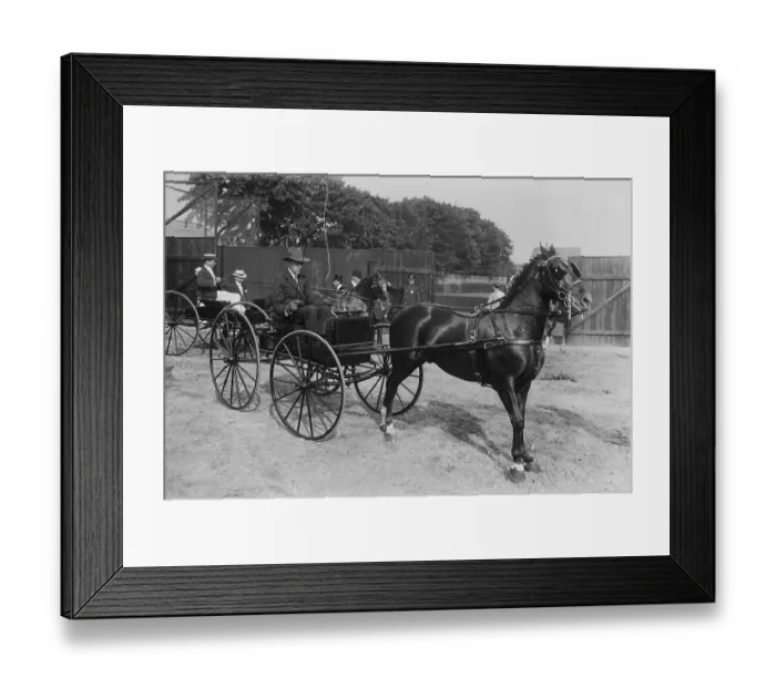 Framed Print : A.G. Vanderbilt Driving a Carriage Framed Print : A.G. Vanderbilt Driving a Carriage