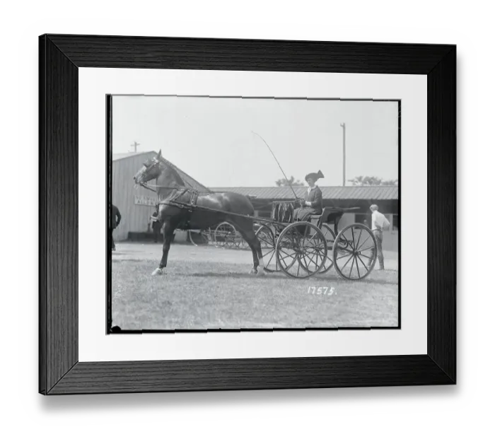 Framed Print : Woman in Horsedriven Buggy