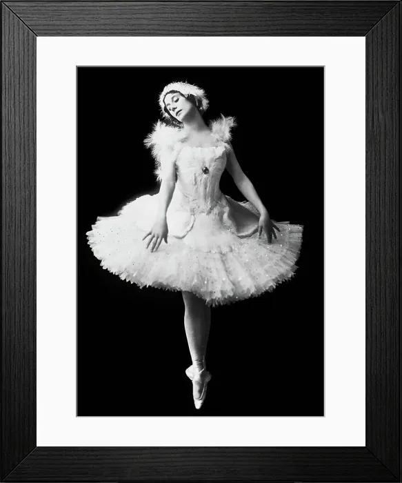 Framed Print : Anna Pavlova as The Dying Swan Framed Print : Anna Pavlova as The Dying Swan
