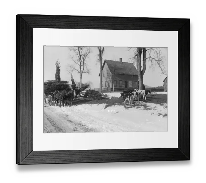 Framed Print : Farmhouse Selling Christmas Trees Framed Print : Farmhouse Selling Christmas Trees