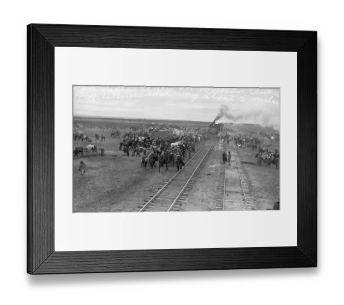 Framed Print : Mexican Central Railroad Train on Tracks Framed Print : Mexican Central Railroad Train on Tracks