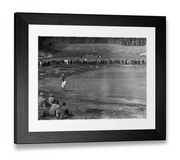 Framed Print : Spectators Watching U.S. Open Framed Print : Spectators Watching U.S. Open