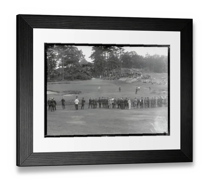 Framed Print : Crowd Watching Golf Match Framed Print : Crowd Watching Golf Match