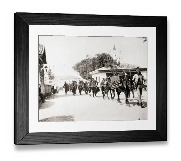 Framed Print : Line of Italian Soldiers Leading Horses Framed Print : Line of Italian Soldiers Leading Horses