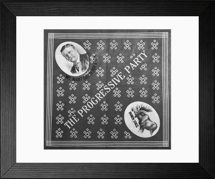 Framed Print : The Progressive Party Election Banner Framed Print : The Progressive Party Election Banner