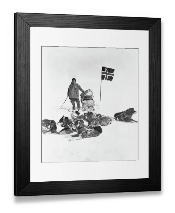Framed Print : Sled Dogs and Member of Amundsen Expedition Framed Print : Sled Dogs and Member of Amundsen Expedition