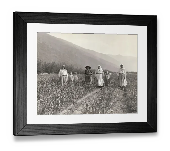Framed Print : Russian Peasants Pausing in the Field Framed Print : Russian Peasants Pausing in the Field