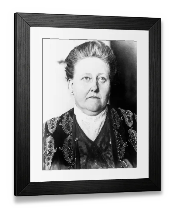Framed Print : Amy Lowell Framed Print : Amy Lowell