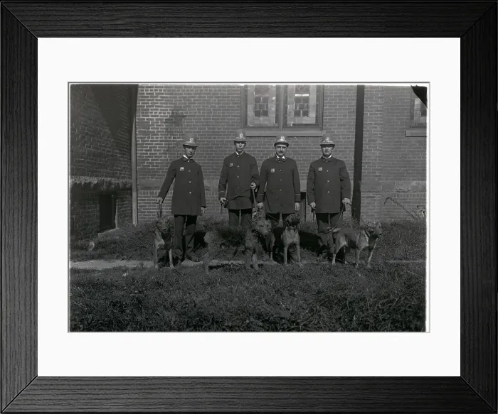 Framed Print : Police Officers with Police Dogs Framed Print : Police Officers with Police Dogs