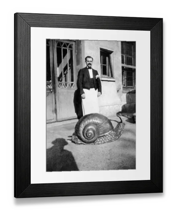 Framed Print : Giant Snail Made of Papier Mache Framed Print : Giant Snail Made of Papier Mache