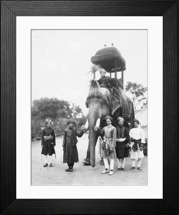 Framed Print : Maharajah's Elephant Framed Print : Maharajah's Elephant