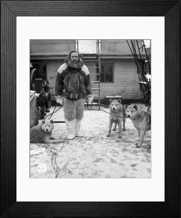 Framed Print : Robert E. Peary with Sled Dogs Framed Print : Robert E. Peary with Sled Dogs