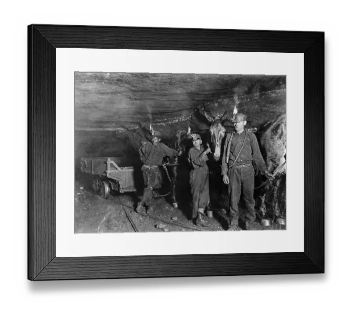 Framed Print : Young Coal Mine Drivers and Mules Framed Print : Young Coal Mine Drivers and Mules