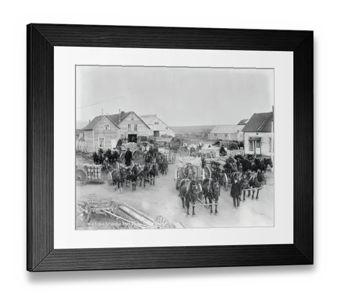 Framed Print : Horses and Wagons at Gold Rush Camp