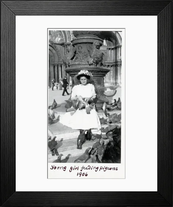 Framed Print : Girl Feeding Pigeons Framed Print : Girl Feeding Pigeons