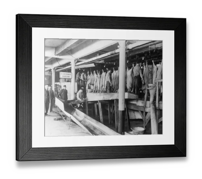 Framed Print : FDA Inspecting Meat at Packing Plant Framed Print : FDA Inspecting Meat at Packing Plant
