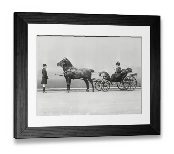 Framed Print : Woman Riding in Horse Drawn Carriage Framed Print : Woman Riding in Horse Drawn Carriage