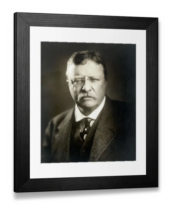 Framed Print : Theodore Roosevelt Framed Print : Theodore Roosevelt