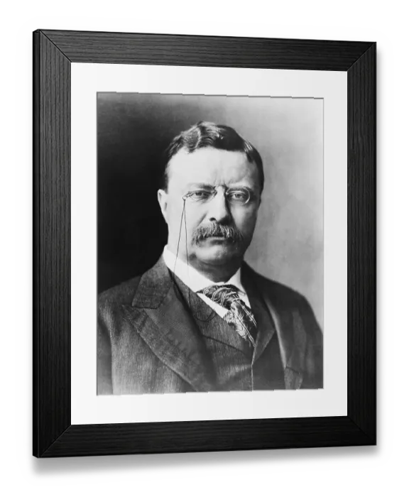 Framed Print : President Theodore Roosevelt Framed Print : President Theodore Roosevelt