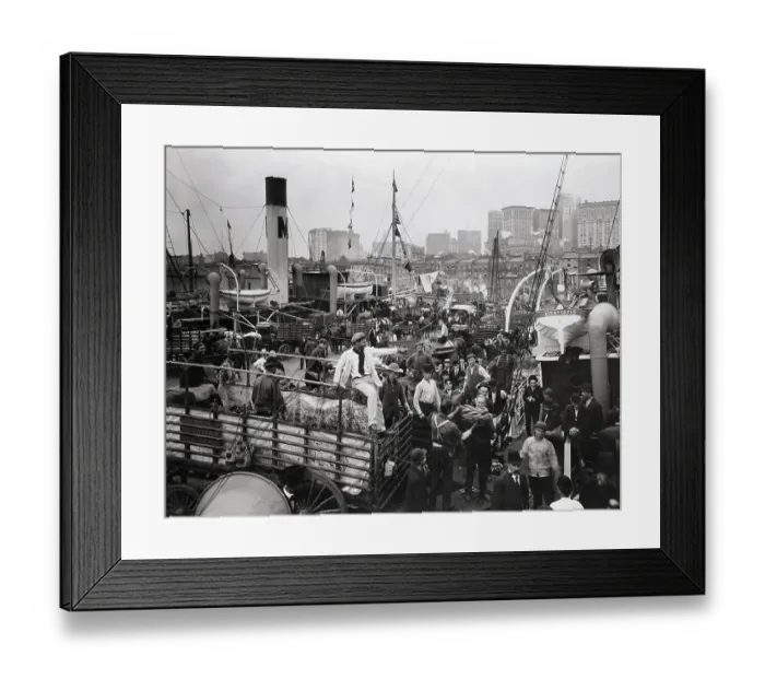 Framed Print : Unloading Banana Boats In New York Framed Print : Unloading Banana Boats In New York