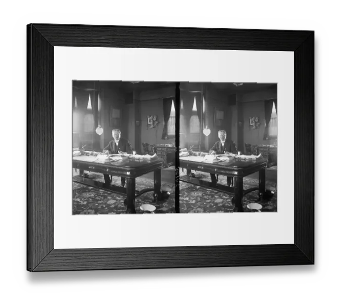 Framed Print : St Louis Exposition President
