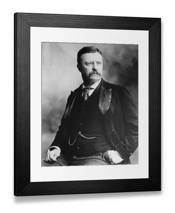 Framed Print : Theodore Roosevelt Framed Print : Theodore Roosevelt