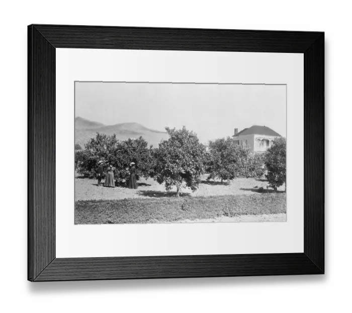 Framed Print : People Standing at Future Hollywood Intersection Framed Print : People Standing at Future Hollywood Intersection