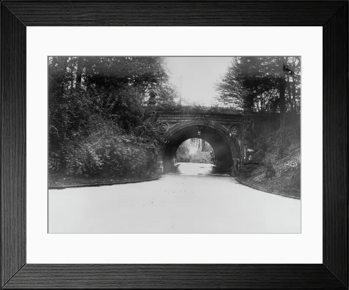 Framed Print : Cleft Ridge Span, Prospect Park Framed Print : Cleft Ridge Span, Prospect Park