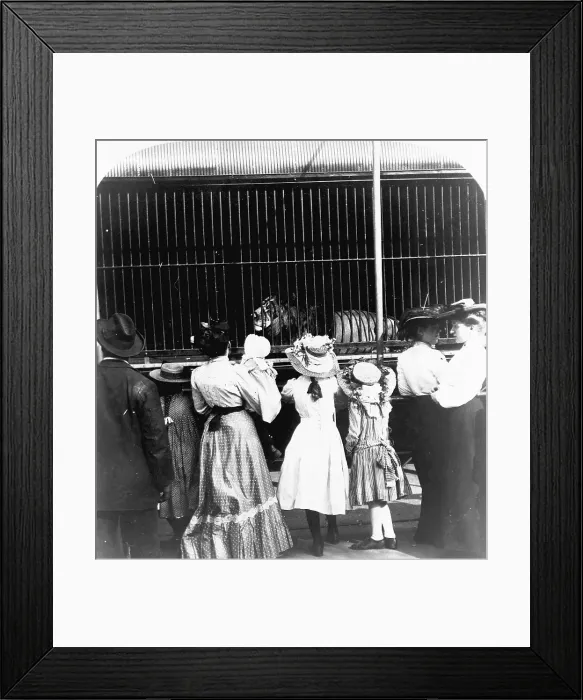 Framed Print : Watching Lion's Cage in Central Park Framed Print : Watching Lion's Cage in Central Park