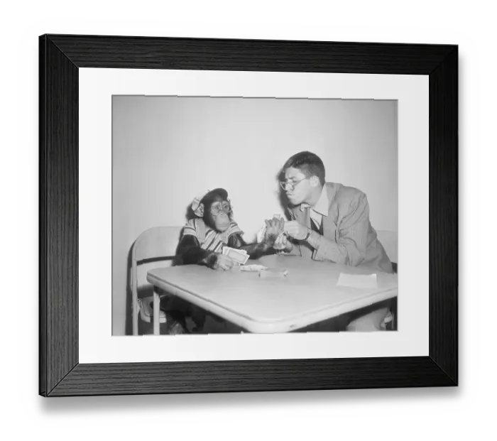 Framed Print : Jerry Lewis Playing Cards With Monkey