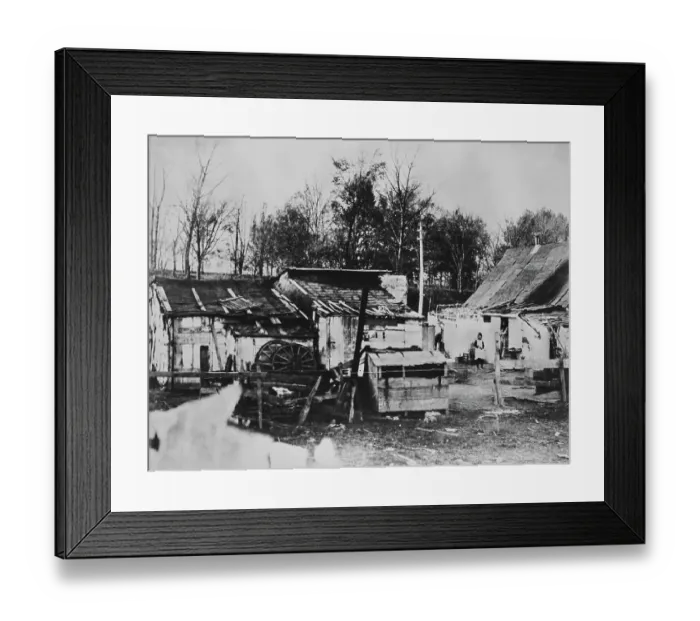 Framed Print : Squatters On Fifth Avenue Framed Print : Squatters On Fifth Avenue