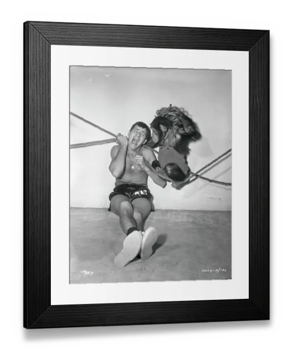 Framed Print : Jerry Lewis and Chimpanzee in a Wrestling Match Framed Print : Jerry Lewis and Chimpanzee in a Wrestling Match