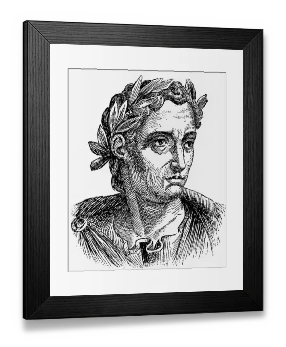 Framed Print : Engraving of Pliny the Younger Framed Print : Engraving of Pliny the Younger