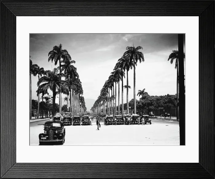 Framed Print : Street In Rio De Janeiro / Plam Trees Framed Print : Street In Rio De Janeiro / Plam Trees