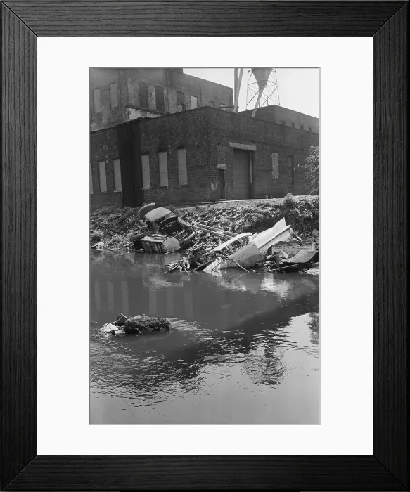 Framed Print : Polluted Waters of the Bronx River