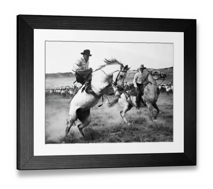 Framed Print : Cowboy Competing in Rodeo Framed Print : Cowboy Competing in Rodeo