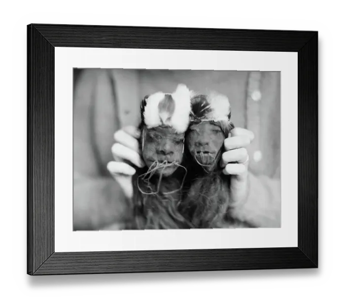 Framed Print : Shrunken Heads of a Man and Woman Framed Print : Shrunken Heads of a Man and Woman